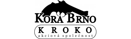 Koro Brno (Чехия)